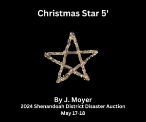 Disaster auction item-Christmas Star